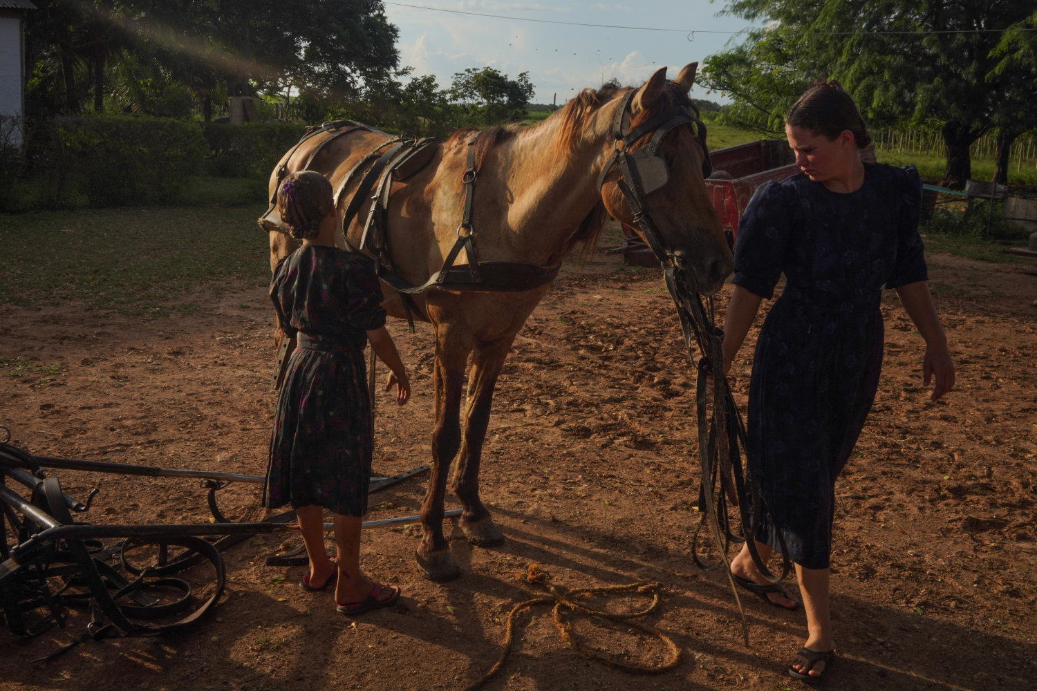 The Mennonites of Bacalar in front of environmental crisis