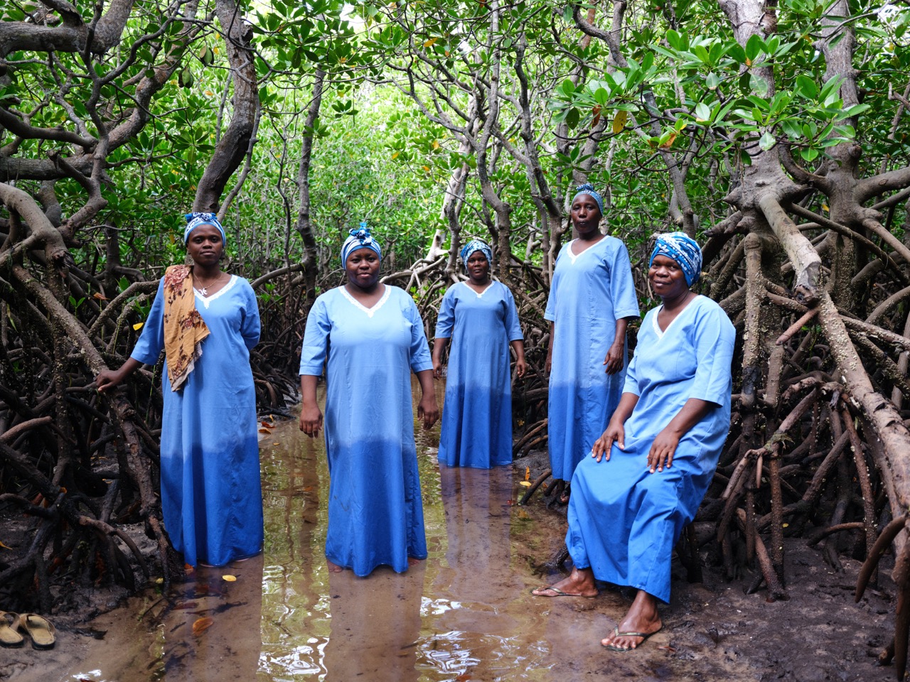 Groß (8 - Mwani Zanzibar Mamas - 6081cd0e-516d-4d1b-a6e0-5635395dda51).jpeg