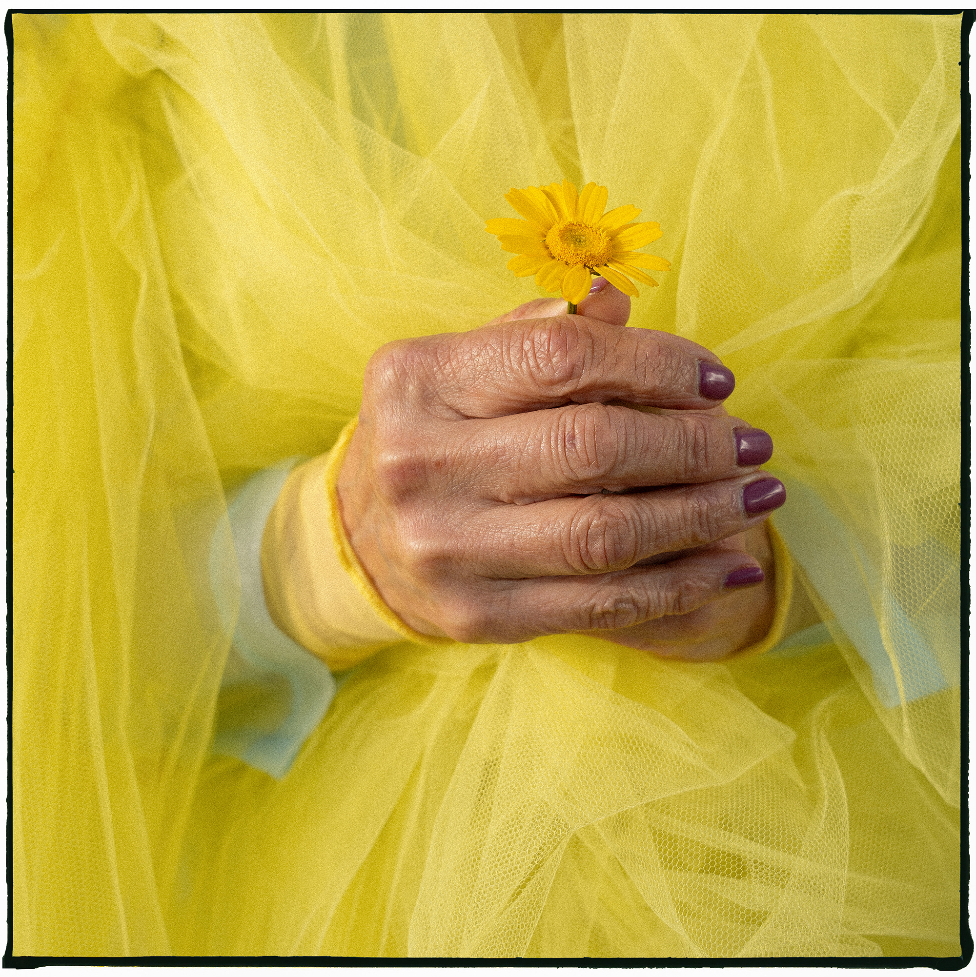 3 - Elisa-s hands - a8b1a6da-5b0e-4fa3-8cfa-9ef29d4bdf86.jpg