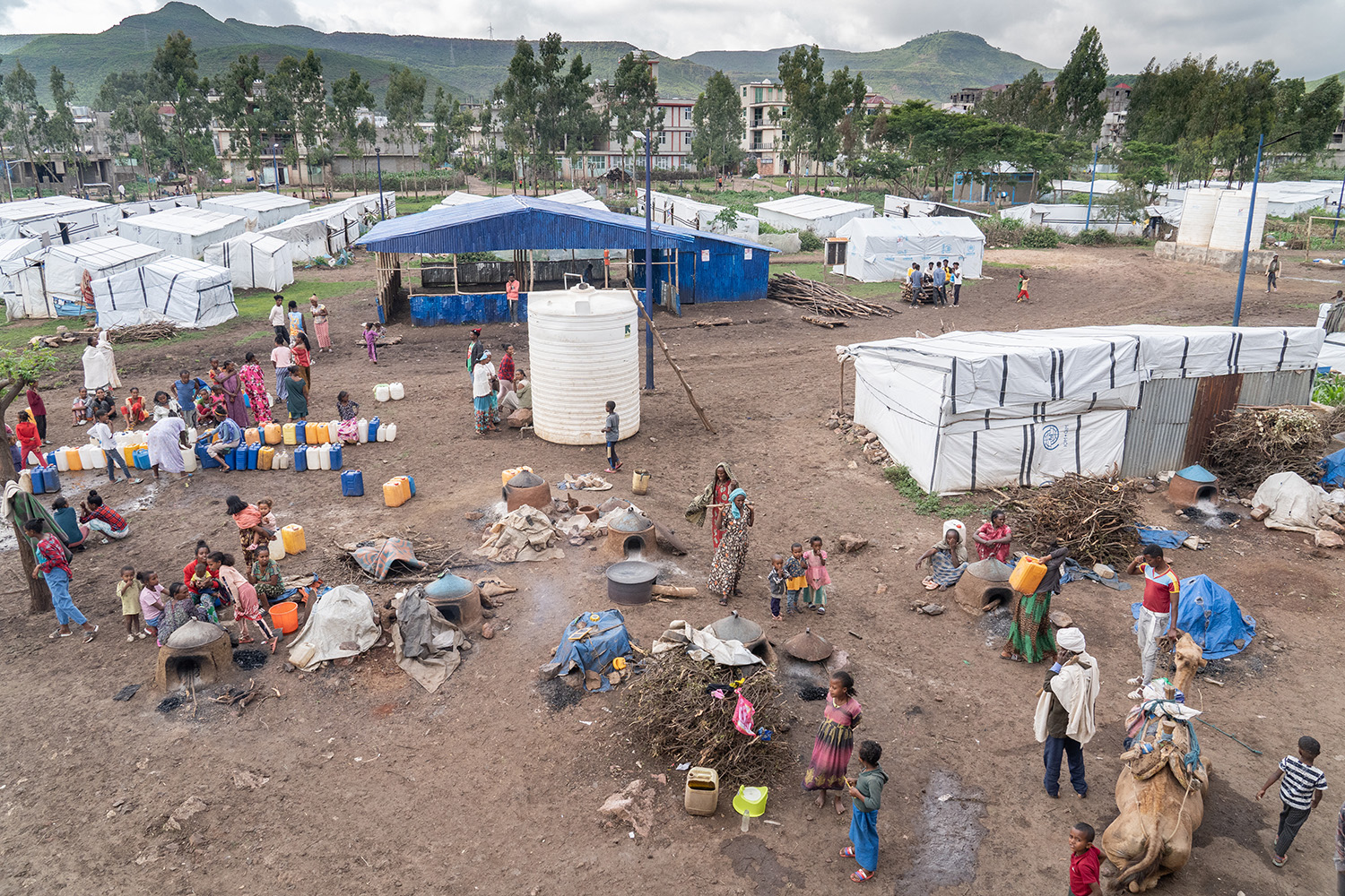 Tigray, Year Zero