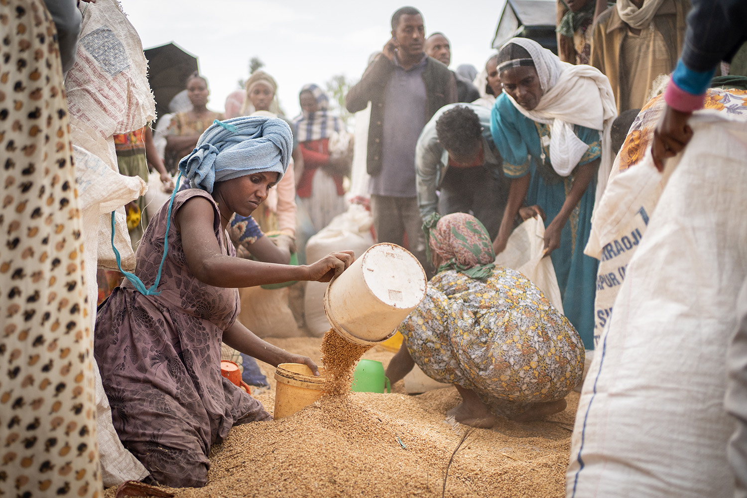 Tigray, Year Zero