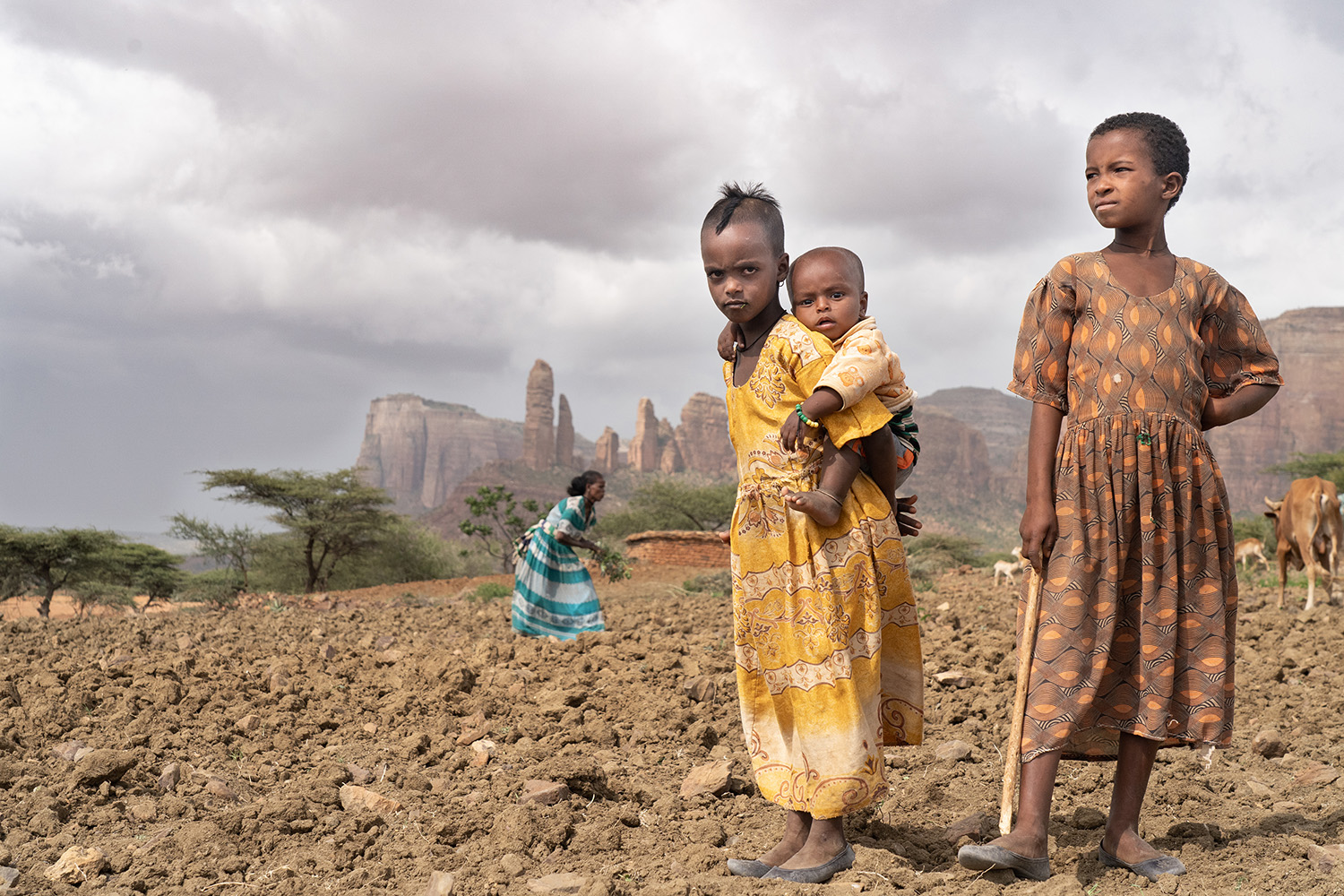 Tigray, Year Zero