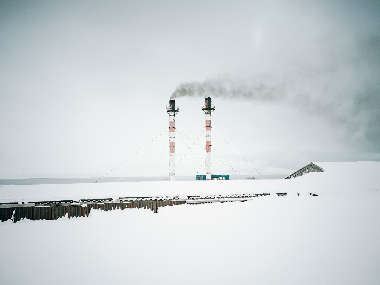 4 - Arctic Dreams - 20380d6d-e63c-44ad-b720-e2a3b33cba3a.jpg
