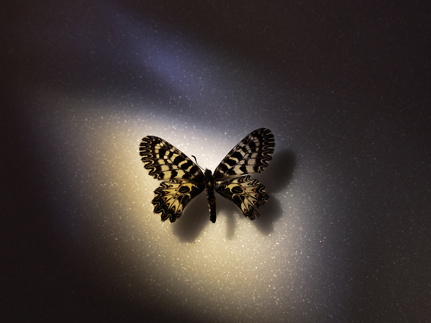 10 - We Are Still Dreaming  - 01a8f3f1-19fe-4073-8968-aed3a6898c81.jpg