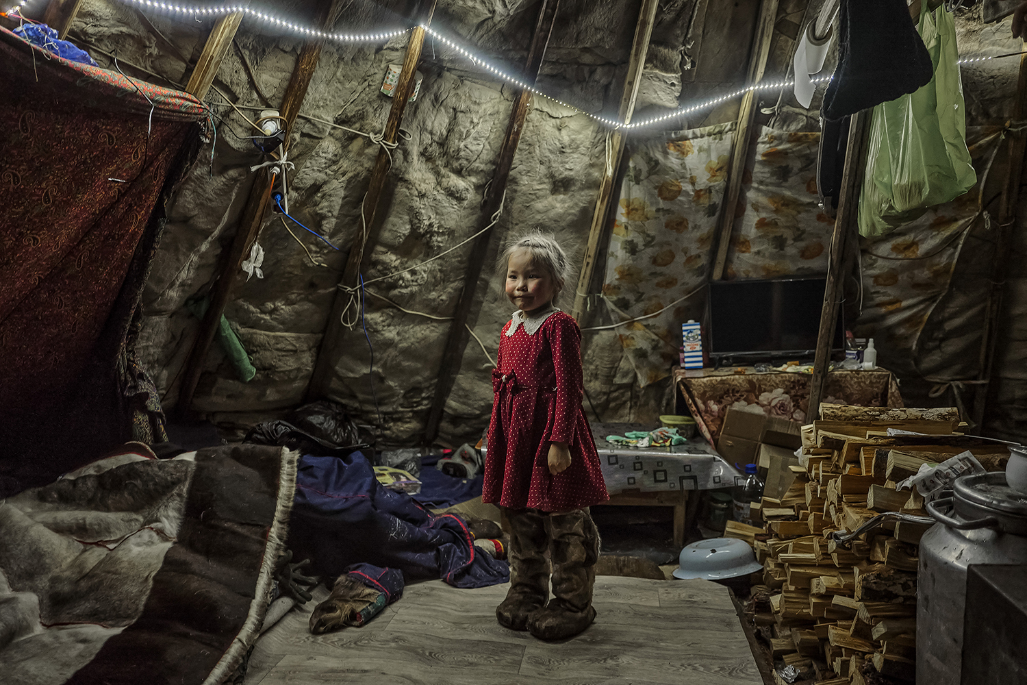 How to Vaccinate a Siberian Reindeer Herder