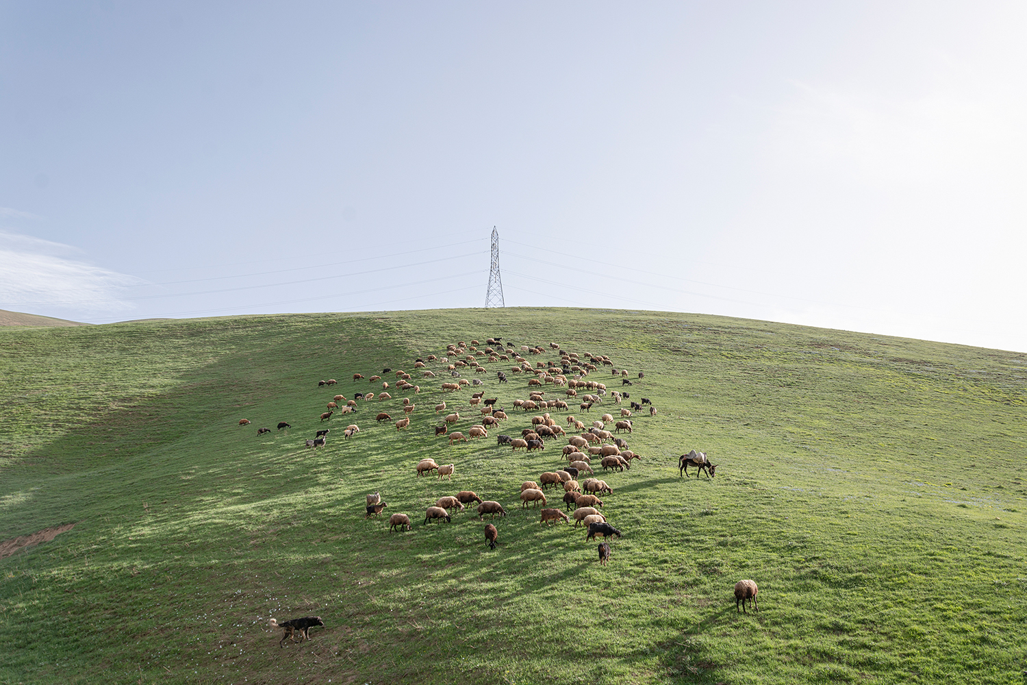 Landscapes undergoing change!