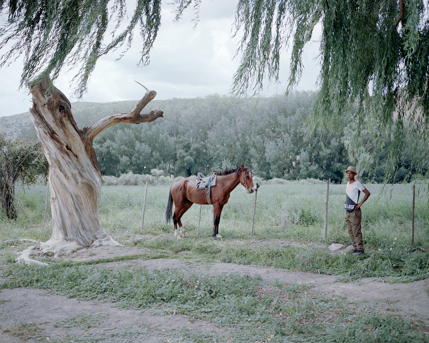 Ballads from the End of the Desert