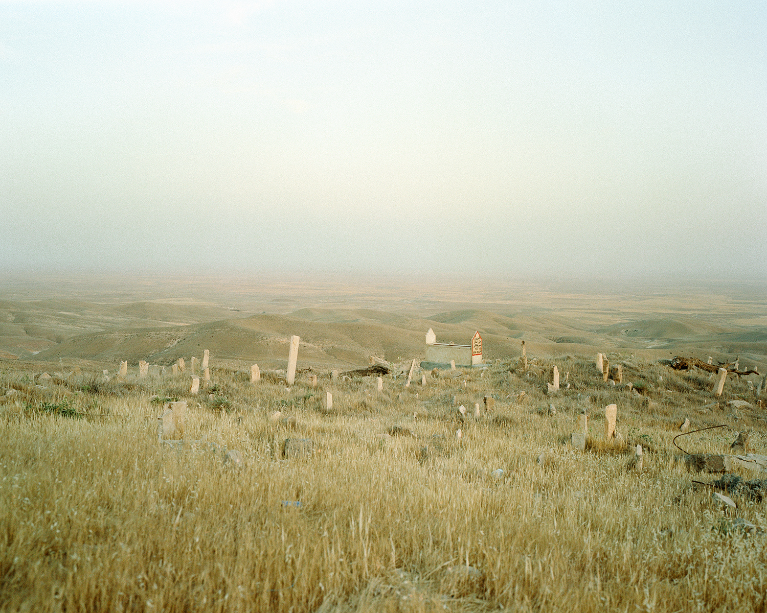 Sinjar, My Soul, To You I Belong