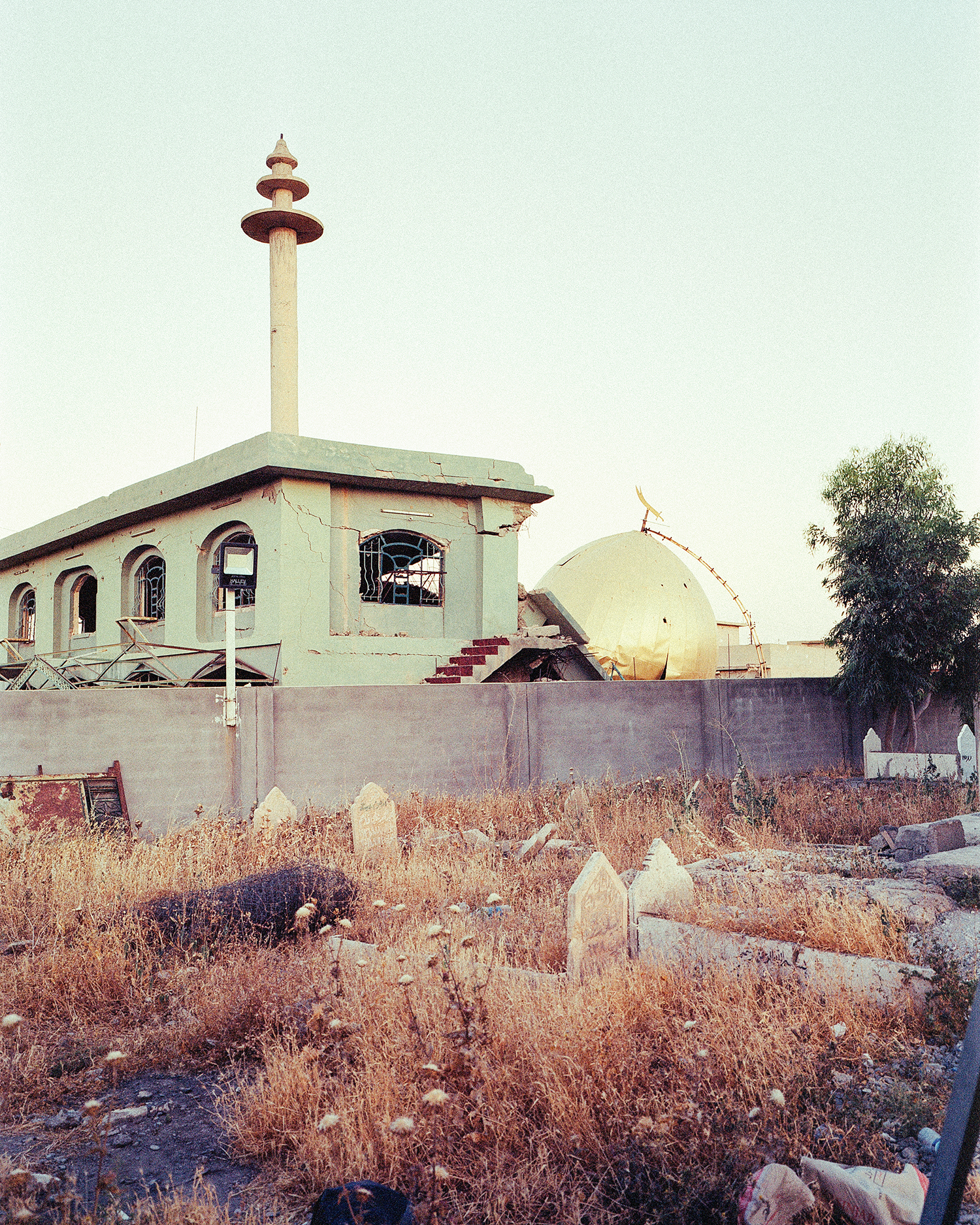 Sinjar, My Soul, To You I Belong