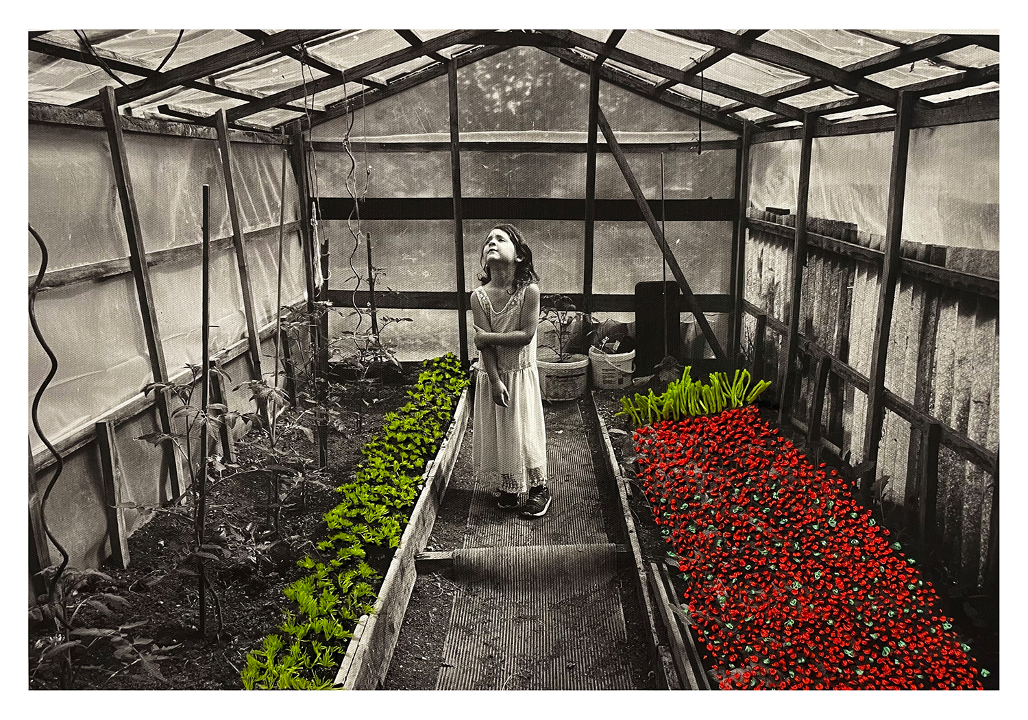 6 - Tamar in greenhouse with embroidery and sewing - b61e1ec1-ddce-44b6-901a-3ae04796b5c4..jpg