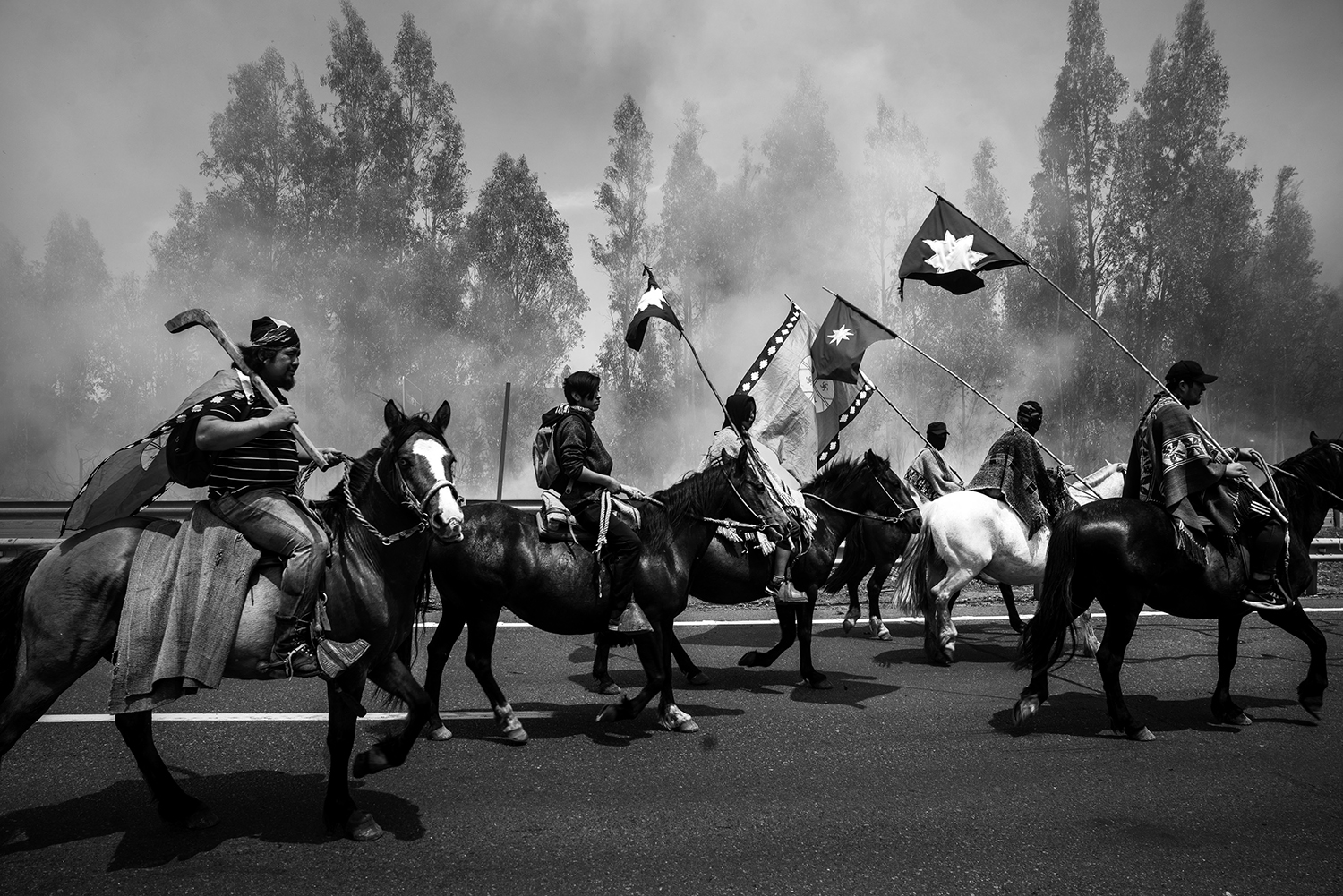 9 - MapucheHamb0019 - 37c87a92-8d13-481a-93d0-cce6c6dc66d3.jpg