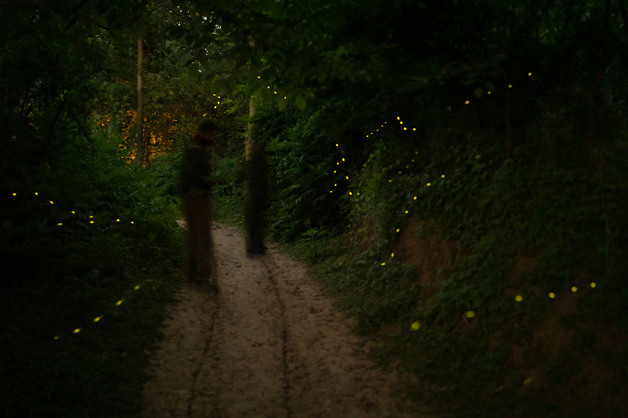 8 - Returning Through the Dark - eef843b0-a0a7-4ee4-a82c-0cf2d78bd613.jpg
