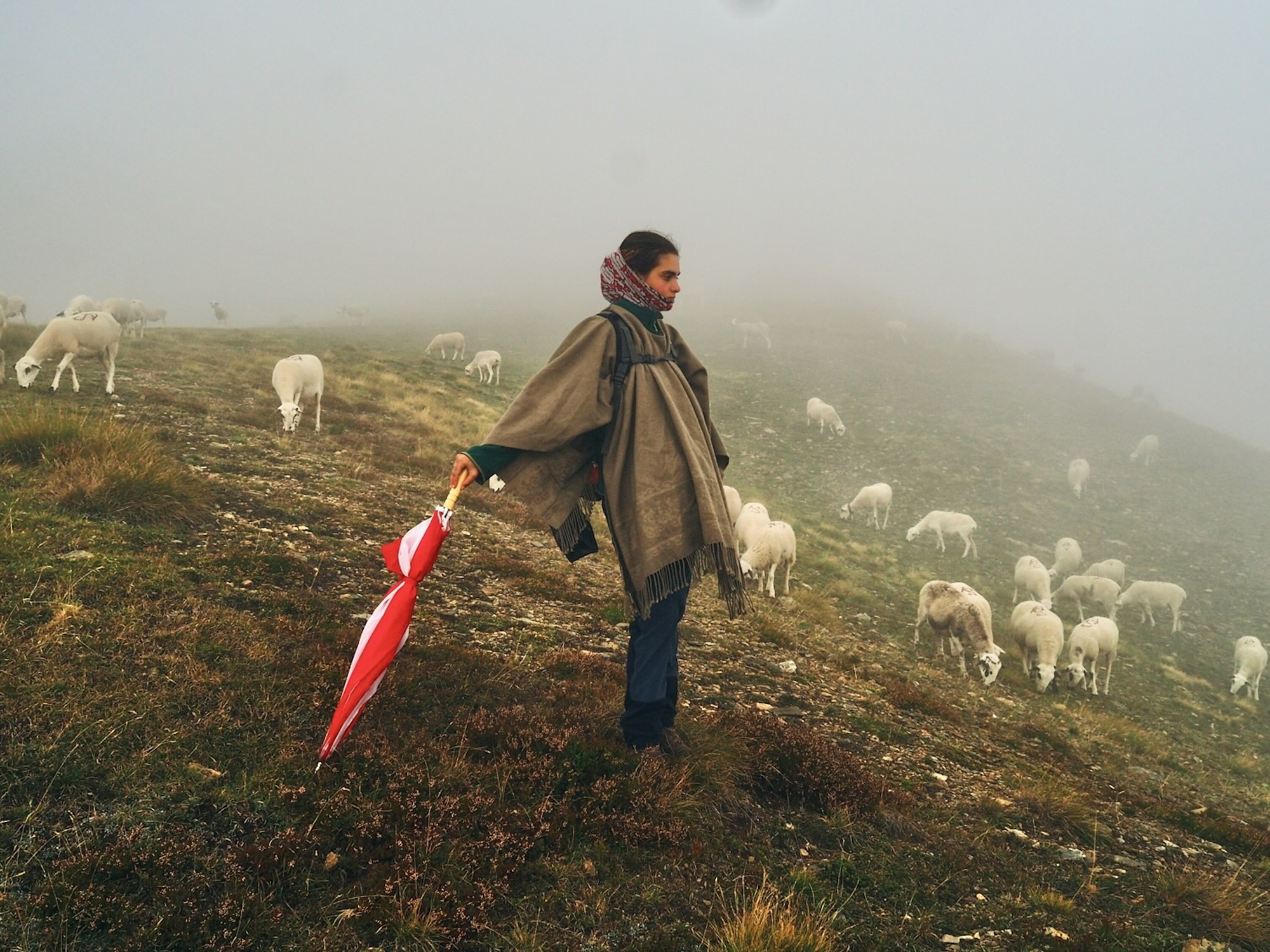 THE GOOD SHEPHERDESS