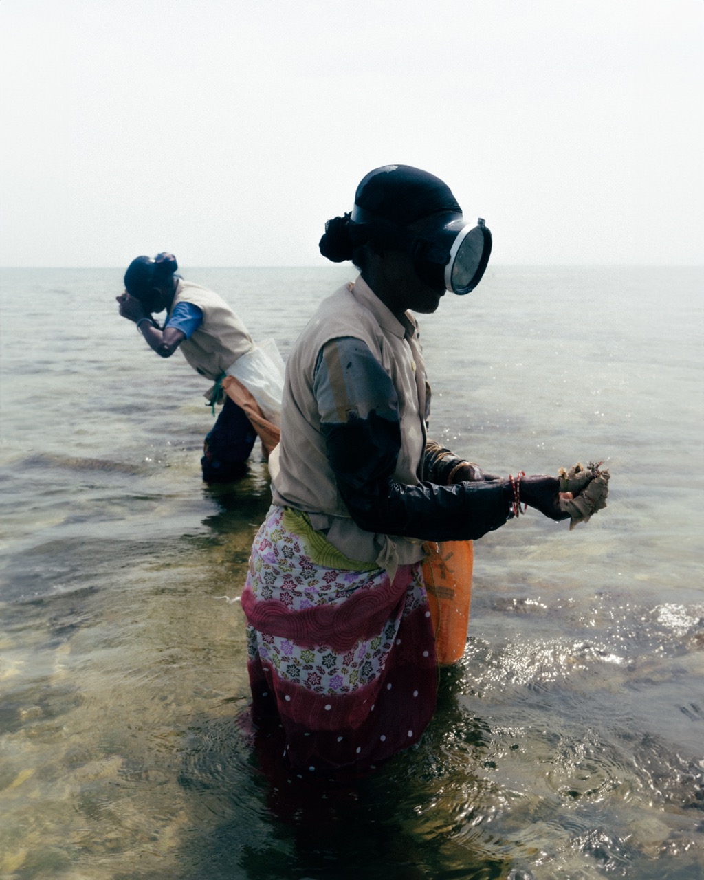 Seaweed Women of Rameshwaram