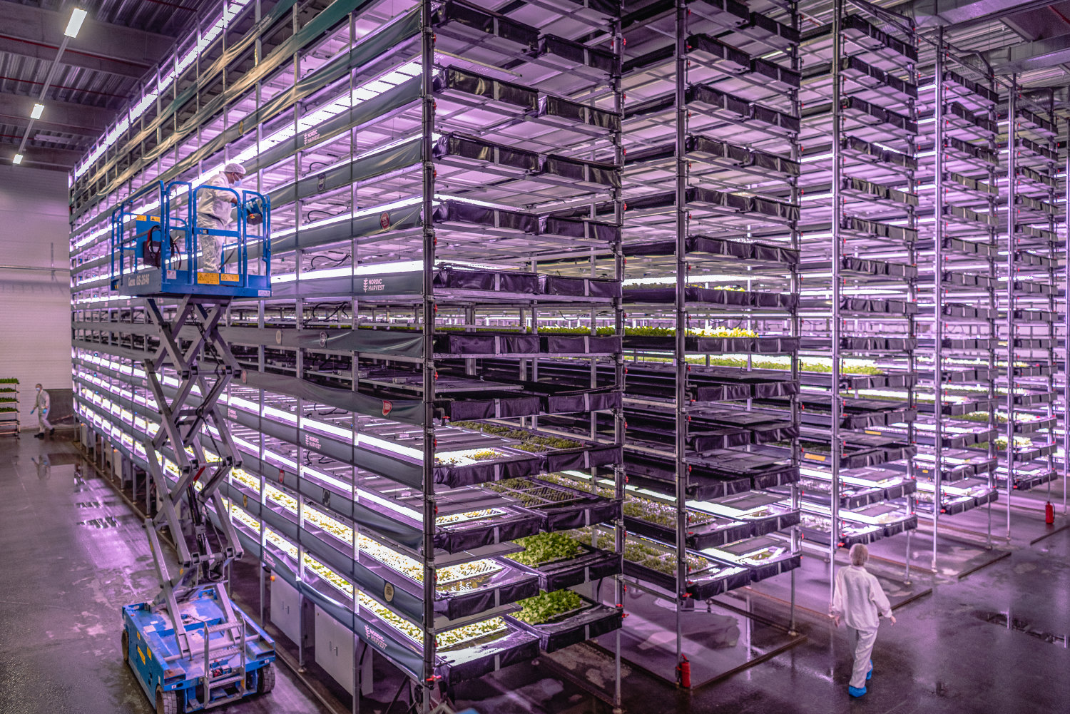 Net-Zero Transition