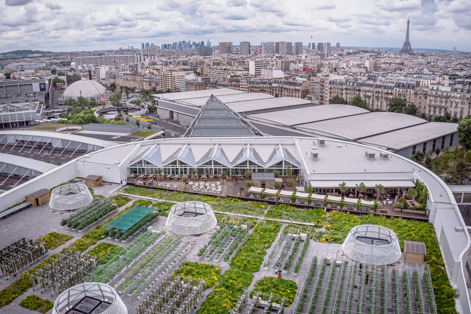 Net-Zero Transition