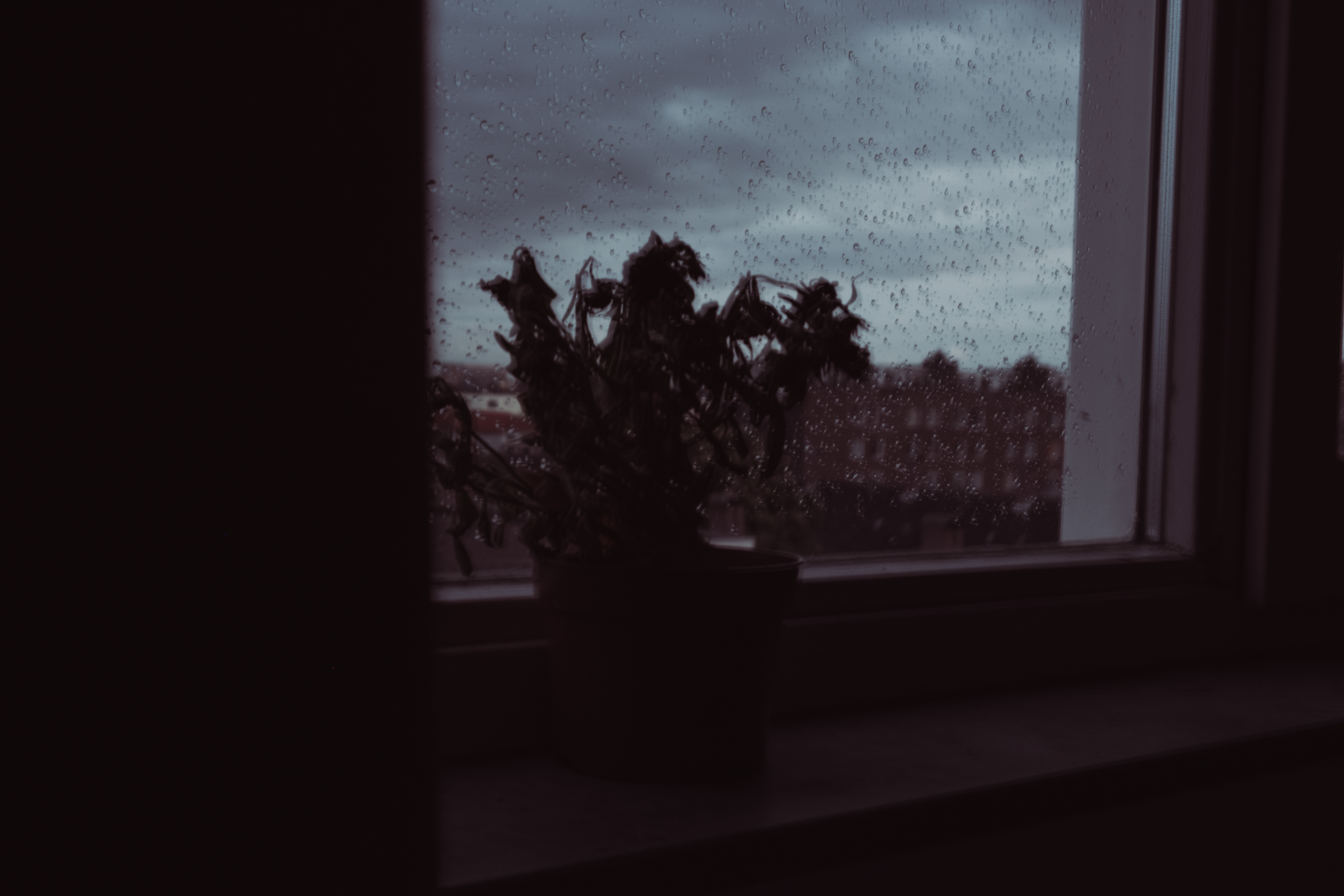 There is a blue sky today and no rain