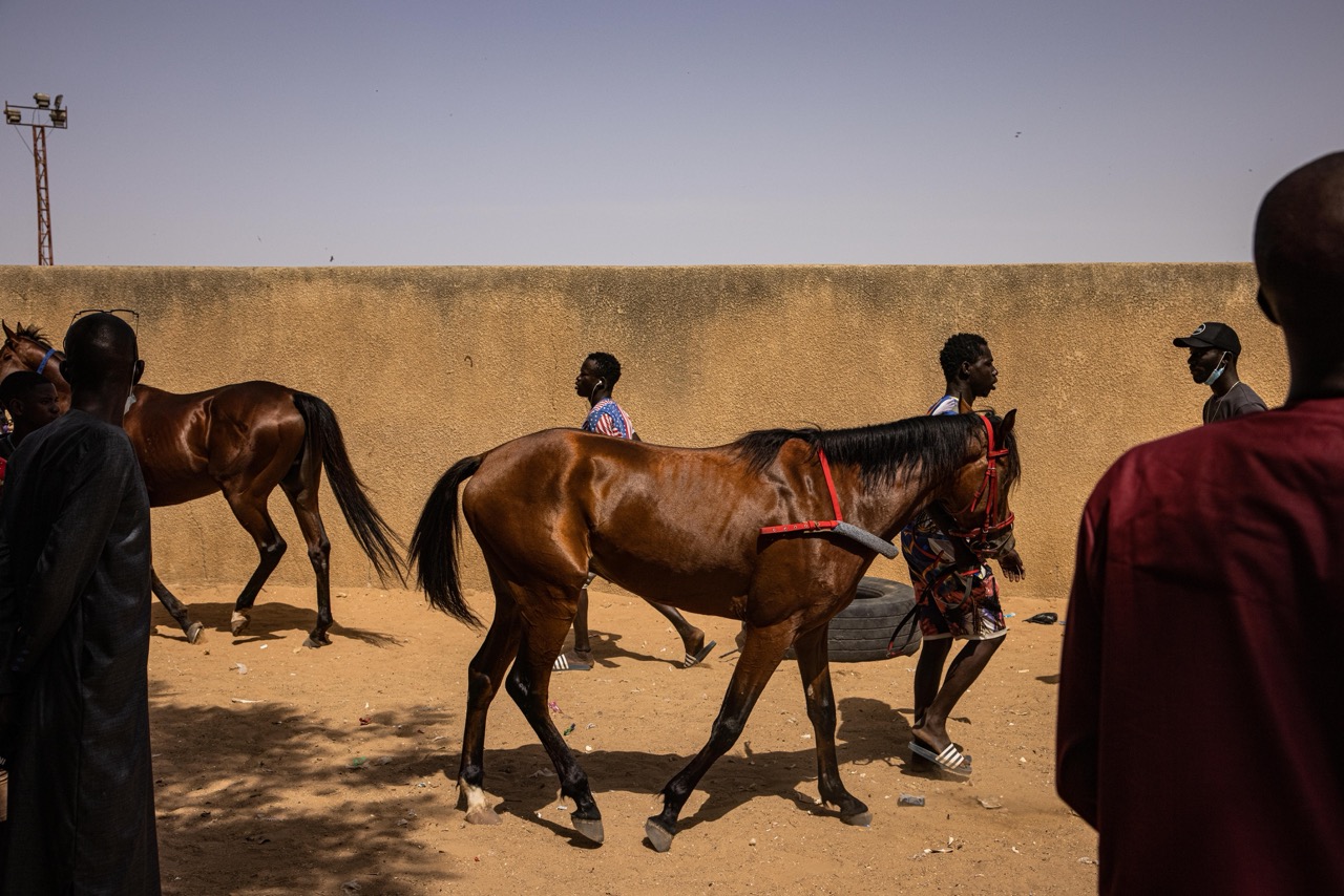 FALLOU DIOP, the unpredicted hope of the racetrack
