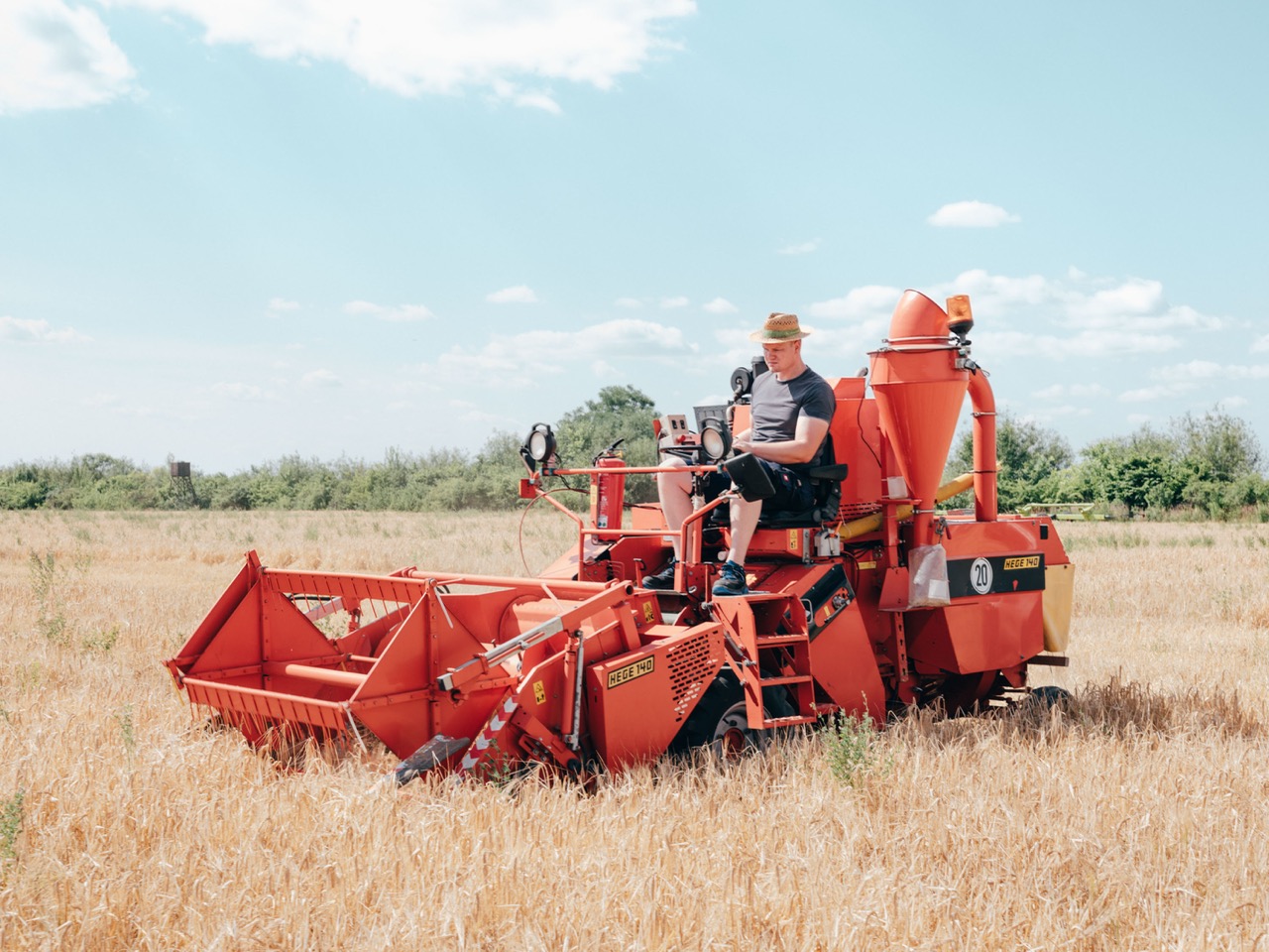 Groß (5 - Research Institute for Post-mining Landscape - 6e9bbf61-e2da-4599-9342-bca9c19b6.jpeg