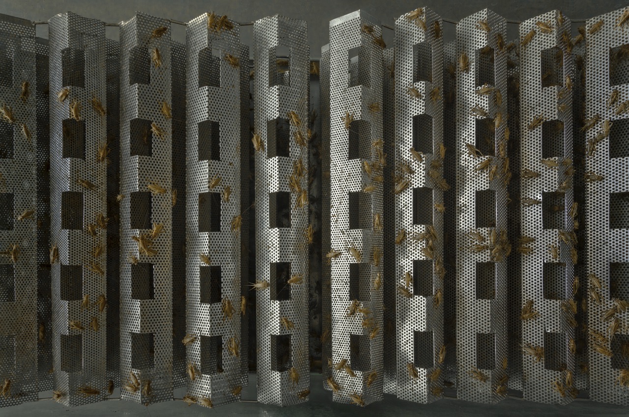 Groß (5 - _L4A5225 print - 850e6eca-a4ca-46c6-accb-d776586009d4).jpeg