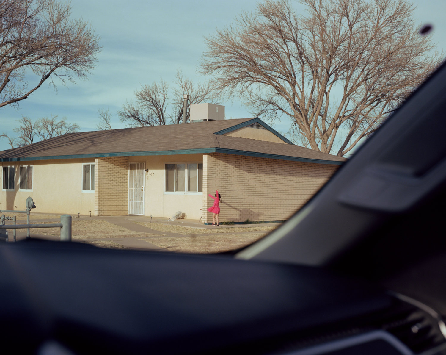 American Pictures