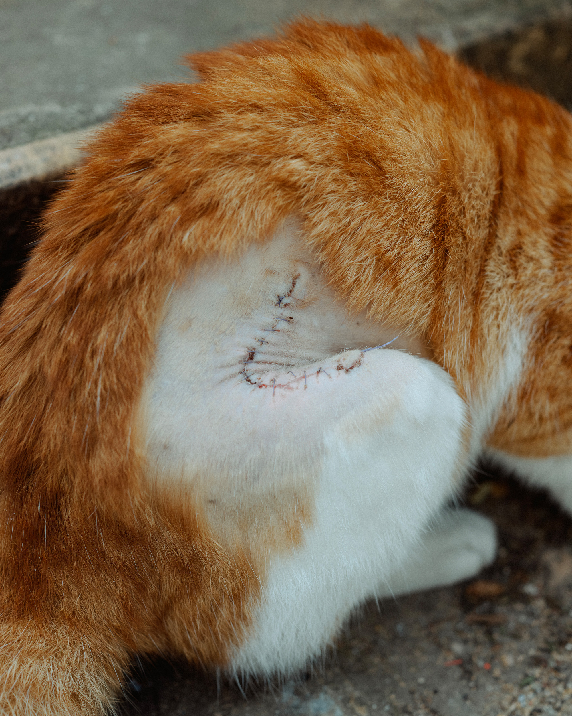 9 - Scars - 62f6d8a0-c626-451f-bff5-2237448fbc03.jpg