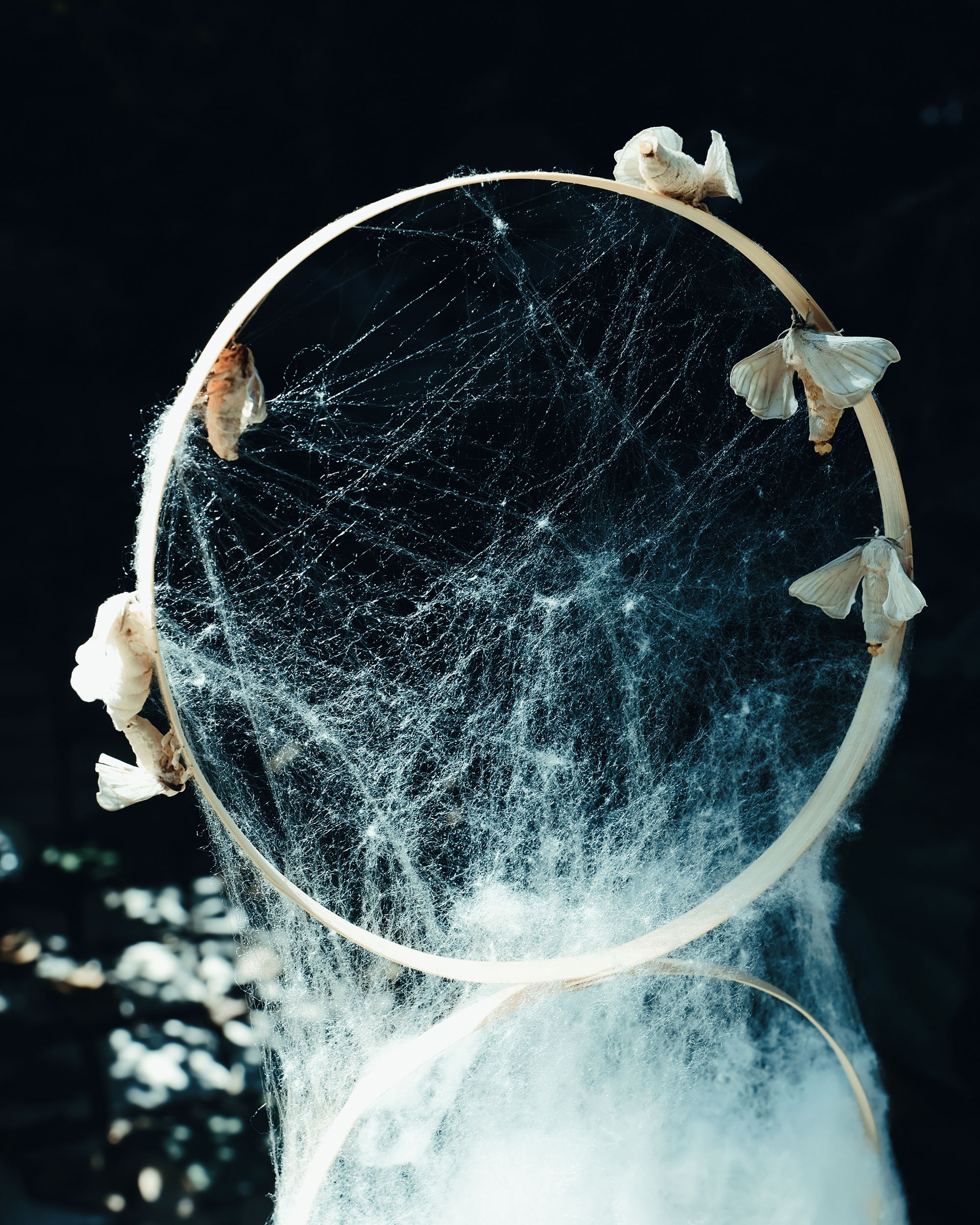 A Silkworm's Dreams Weave A Rhyme
